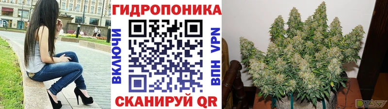 Купить закладку ГАШ  Галлюциногенные грибы  Мефедрон  Каннабис  Горячеводский