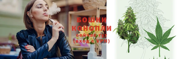 мяу мяу кристалл Ельня