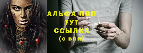 ECSTASY Елизово