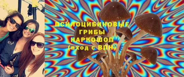 мяу мяу кристалл Ельня
