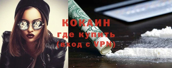 ECSTASY Елизово