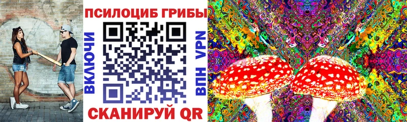 Купить где  Горячеводский  Псилоцибиновые грибы Cubensis 